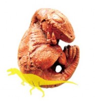 Tyranosaurus Rex