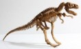 Tyranosaurus Rex