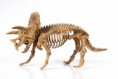 Triceratops